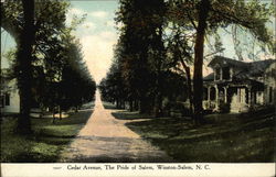 Cedar Avenue, The Pride of Salem Postcard