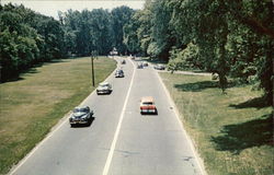 Scene Along Bronx River Parkway in Westchester County Postcard