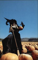 World Heavyweight Pumpkin Weigh-Off Half Moon Bay, CA Postcard Postcard