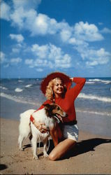 Stock #339049 Thumbnail