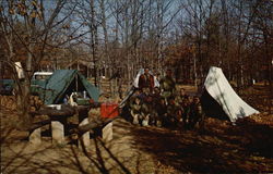 Shenandoah National Park - Boy Scouts Camping Out Virginia Postcard Postcard