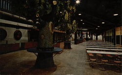 The Domeskeller, Inside the Astrodome Houston, TX Postcard Postcard