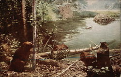 Stock #339387 Thumbnail