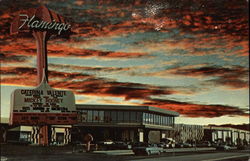 Hotel Flamingo Postcard