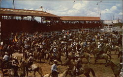 Texas Rodeo Postcard Postcard