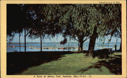 A Scene at Battery Park in Sandusky, Ohio Postcard