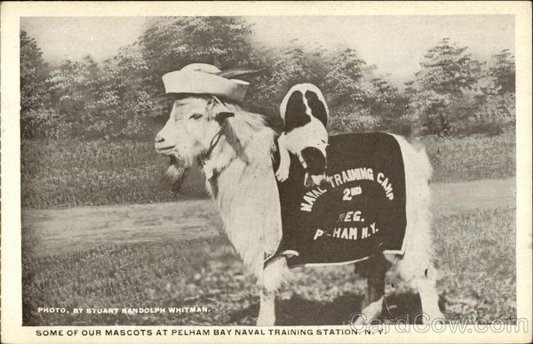 Some of Our Mascots at Pelham Bay Naval Training Station New York