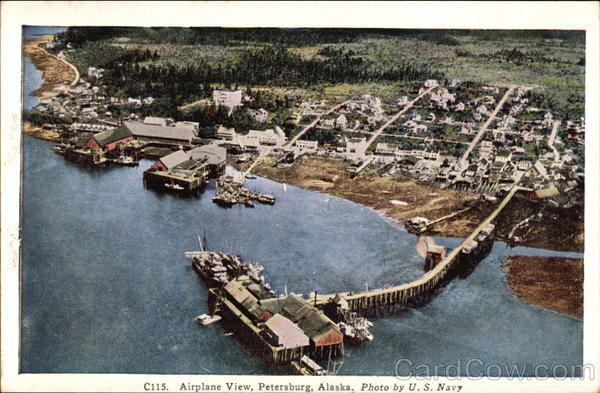 Airplane View of Petersburg Alaska