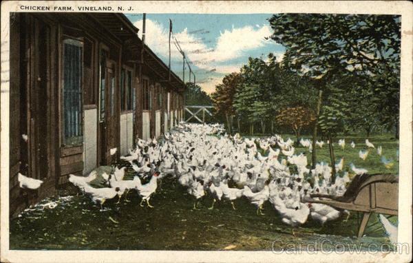 chicken farm nj