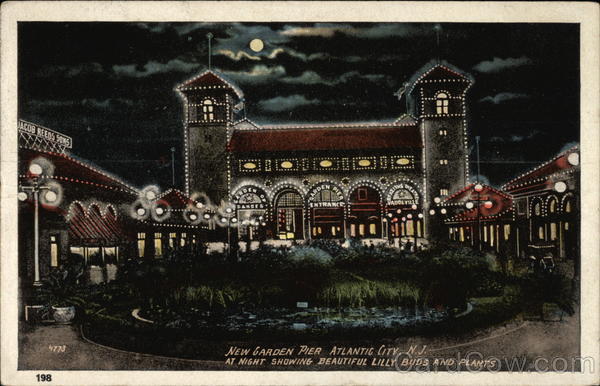 New Garden Pier at Night Showing Beautiful Lilly Buds and Plants Atlantic City New Jersey