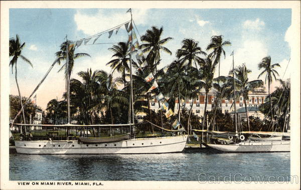 View on River Miami Florida