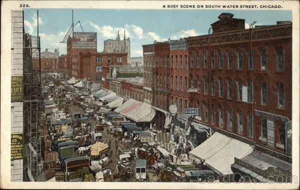 A Busy Scene on South Water Street Chicago Illinois