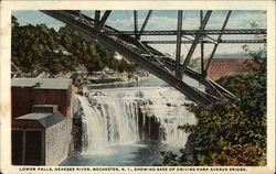 Genesee River - Lower Falls Postcard