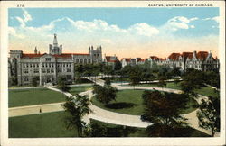Campus, University of Chicago Illinois Postcard Postcard