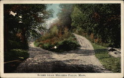 Country Road Postcard