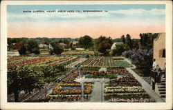 Show Garden, Henry Field Seed Co Postcard