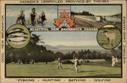 Beautiful New Brunswick, Canada, Canada's Unspoiled Province by the sea Misc. Canada Postcard Postcard