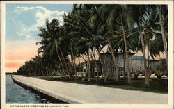 Drive Along Biscayne Bay Miami, FL Postcard Postcard
