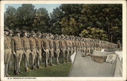 U.S. Troops at Attention Military Postcard Postcard