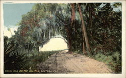 Royal Oak on the Halifax Postcard