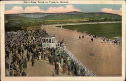 Horse Race Track Postcard