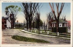 Main Street and Common Plymouth, NH Postcard Postcard