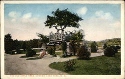 The Old Apple Tree Canobie Lake Park, NH Postcard Postcard