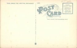 back