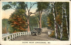 Beautiful Scene Postcard