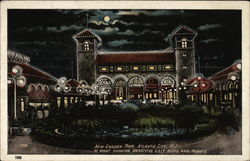 New Garden Pier at Night Showing Beautiful Lilly Buds and Plants Postcard