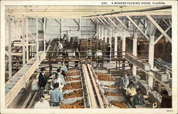 A Modern Packing House Postcard