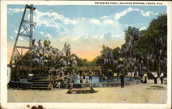 Sulphur Springs - Swimming Pool Tampa, FL Postcard Postcard