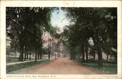 Springfield Avenue New Providence, NJ Postcard Postcard