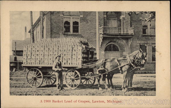 A 1900 Basket Load of Grapes Lawton Michigan
