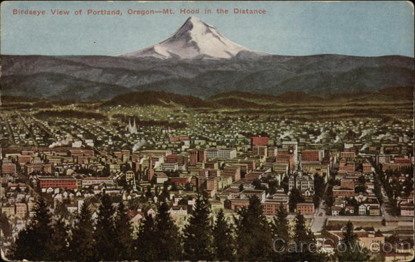Bird's Eye View of City, Mt. Hood in the Distance Portland Oregon