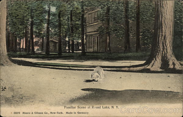 Familiar Scene at Round Lake, N.Y New York
