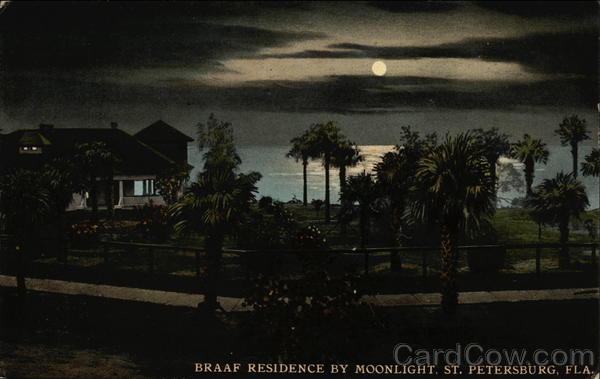 Braaf Residence by Moonlight St. Petersburg Florida