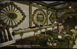 County Exhibit at Montana State Fair Postcard
