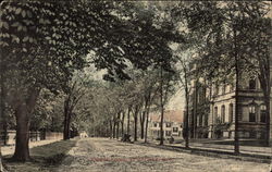 Street Scene Street Scene