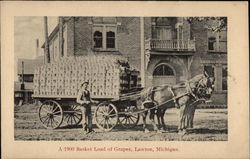 A 1900 Basket Load of Grapes Postcard