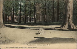 Familiar Scene at Round Lake, N.Y New York Postcard Postcard