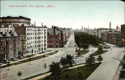 Commonweslth Avenue View Postcard