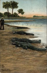 "Look Pleasant" Alligators Postcard