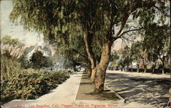 Stock #341376 Thumbnail