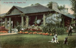 A Log Cabin Postcard