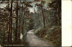 Torrey's Woods Torrey's Woods