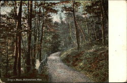 Torrey's Woods Postcard