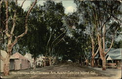 The Canvass City - Claressa Avenue, Avalon Postcard