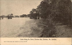 Scene Along the Shore, Edenton Bay Postcard