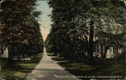 Cedar Avenue - The Pride of Salem Winston-Salem, NC Postcard Postcard